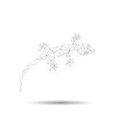 Abstract geckos isolated on a white backgrounds