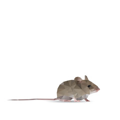 Abstract rat isolated on a white backgrounds