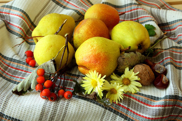 Autumn pears and berries.