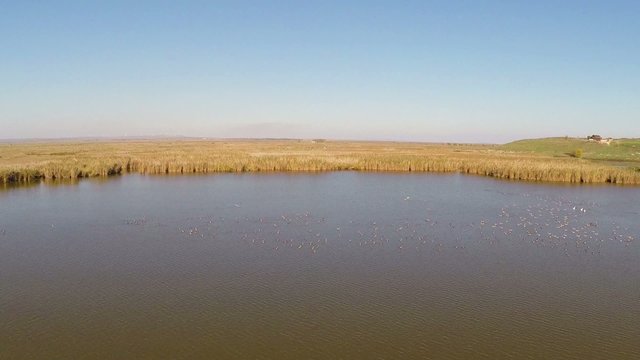 Wild Danube Delta aerial