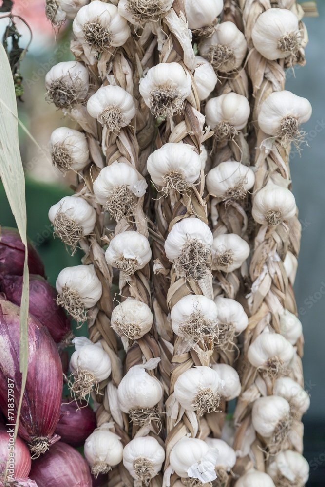 Wall mural Garlic for sale