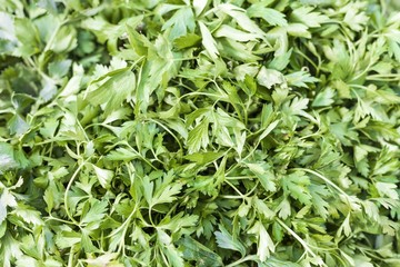 Green parsley for sale at marketplace