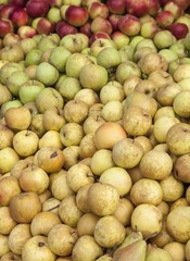 Green apple for sale in a grocery
