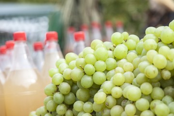 White grapes for sale on the sun light