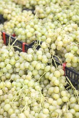 White grapes for sale on the sun light