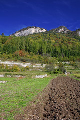 PAESAGGIO AUTUNNALE IN VALDI GRESTA IN TRENTINO