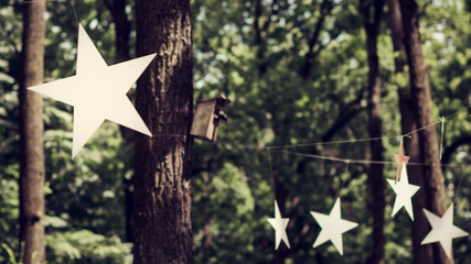 Holiday in the wood under stars