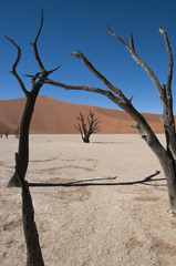 Deadvlei, Namib-Naukluft-Nationalpark, Namibia