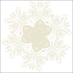 Vector Elegant background with lace ornament .