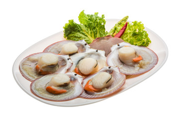 Raw fresh scallop