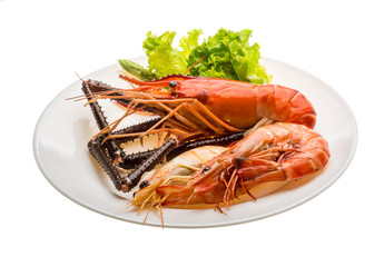 Giant Freshwater Prawn and king prawns