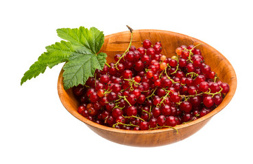 Red currant