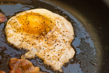 Greasy Fried Egg