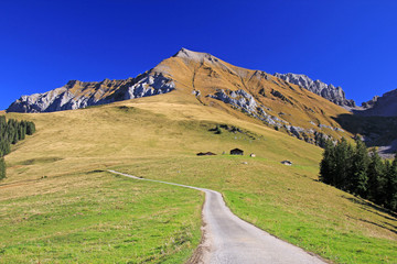 alpen adelboden schweiz