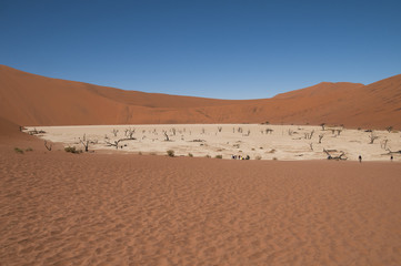 Deadvlei, Namib-Naukluft-Nationalpark, Namibia