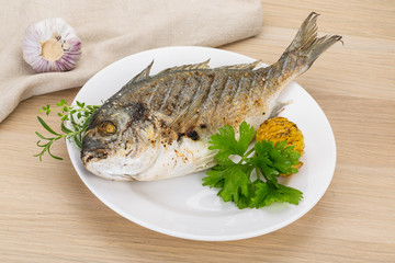 Grilled dorado