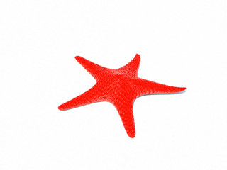 Fototapeta na wymiar 3d red starfish
