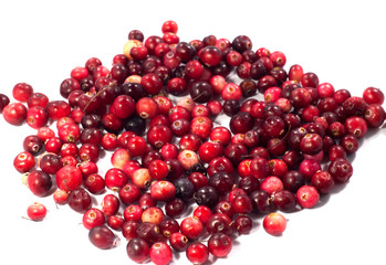 cranberries, berries