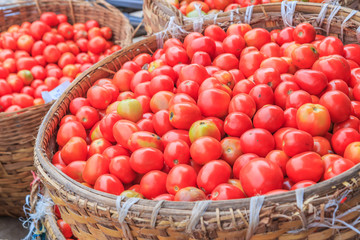 Tomatoes in the basket