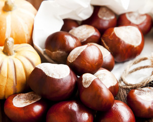 Autumn Chestnuts