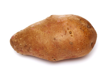 Potato
