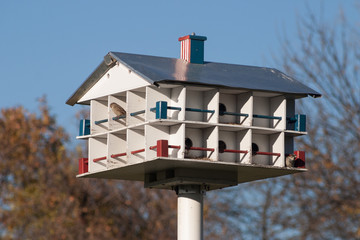 Birds hotel