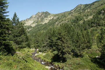 Fototapeta na wymiar Ruisseau d'artounant,Pyrénées ariégeoises