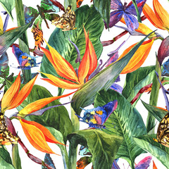 Obrazy  Tropical seamless pattern with exotic flowers