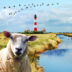 herbstliches Nordfriesland © Gabriele Rohde