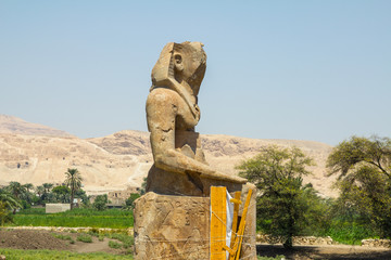Fototapeta premium Memnonkoloss Tempel des Amenophis