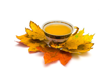 tea in a decorative cup atop of autumn maple leaves