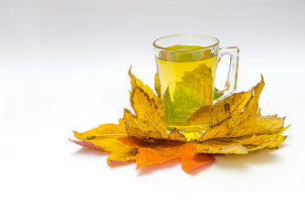 tea in a transparent cup in between autumn maple leaves
