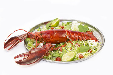 lobster with fresh herbs and lemon on a white background