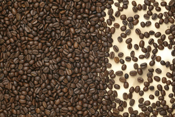 Caffe edition, coffee beans on old paper