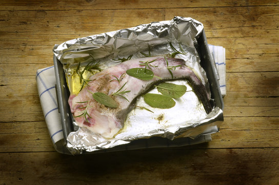 Lophius piscatorius Rape com&uacute;n Angler Rana pescatrice Expo 2015