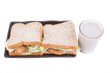 A meal of a sandwich and cold milk
