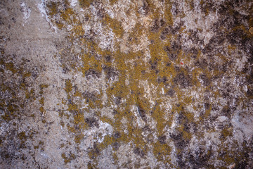 Grungy wall texture