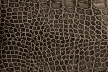 Leather texture