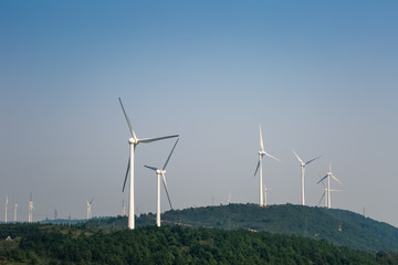 wind farm - new energy