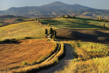 Toscania, Włochy, Krajobraz wiejski - obrazy, fototapety, plakaty