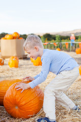 Fototapeta premium kid at pumpkin patch