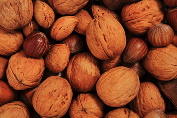 different nuts background