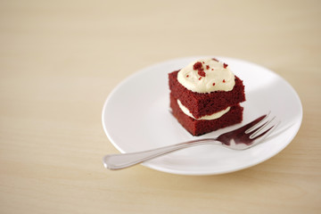 Delicate piece of small chocolate cake