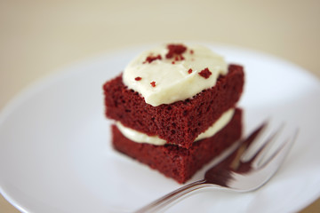Delicate piece of small chocolate cake