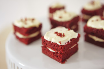 Delicate piece of small chocolate cake