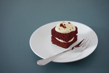 Delicate piece of small chocolate cake