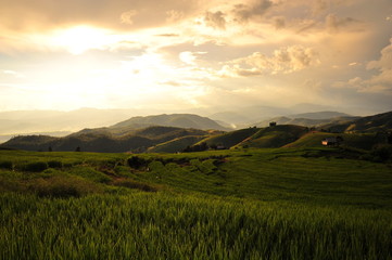 Fototapeta premium Rice Terraced Fields on Mountains