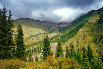 Fototapeta premium Way to Kaindy Lake in Tien Shan mountain, Kazakhstan.