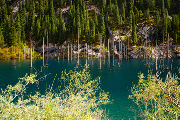 Kaindy Lake in Tien Shan mountain, Kazakhstan.