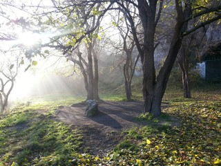 The light of a new day